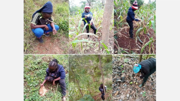 Ireri Fieldwork